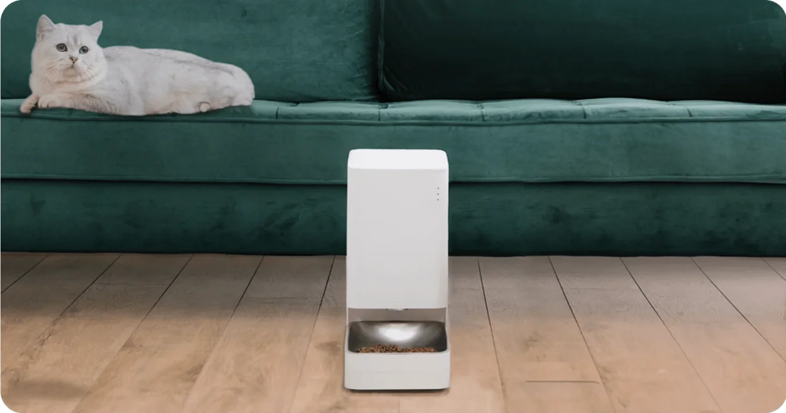 Tecnologia Xiaomi para animais de estimação